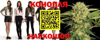 a pvp Новозыбков