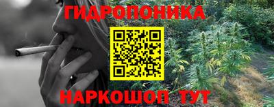 a pvp Новозыбков