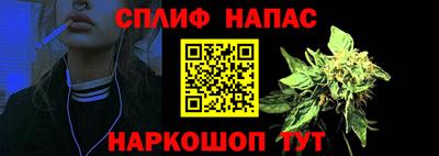 a pvp Новозыбков