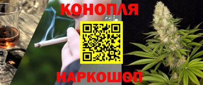 a pvp Новозыбков