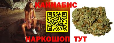 крисы Новодвинск