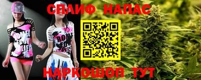 a pvp Новозыбков
