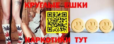 a pvp Новозыбков