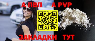 a pvp Новозыбков