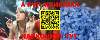крисы Новодвинск